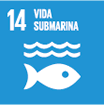 ODS 14: Vida submarina